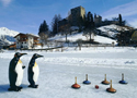 Eisstockschießen am Lader Weiher